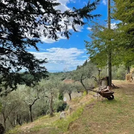 La Ghiandaia Edera Culla