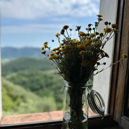 La Ghiandaia Edera 펜션
