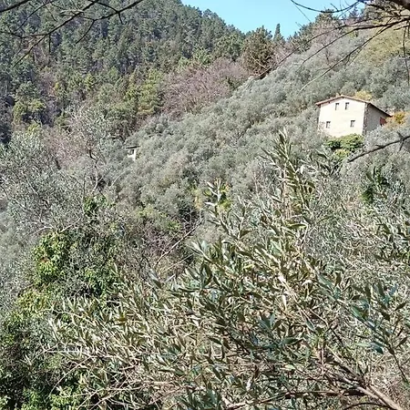 펜션 La Ghiandaia Edera *