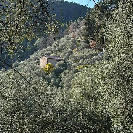 La Ghiandaia Edera Culla