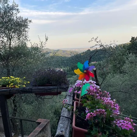 La Ghiandaia Edera * Culla