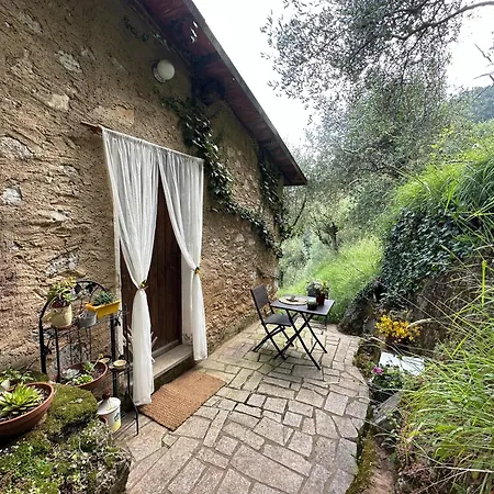La Ghiandaia Edera *